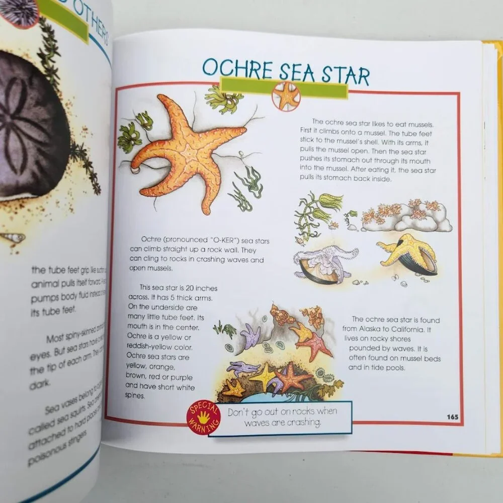 More Fun With Nature Take Along Guides Hardcover Book Activity Journal Craft